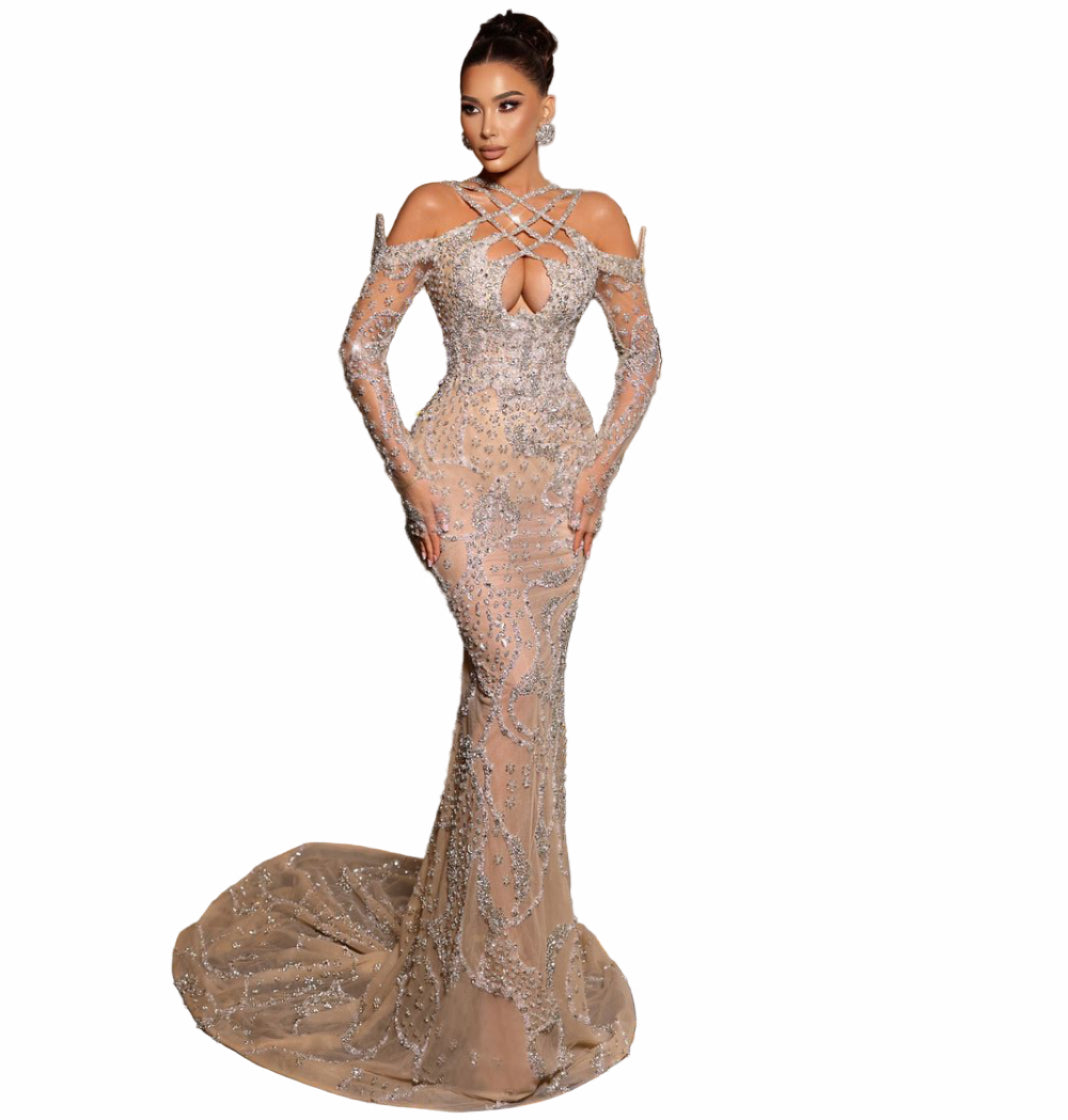 Woman in a silver evening gown 