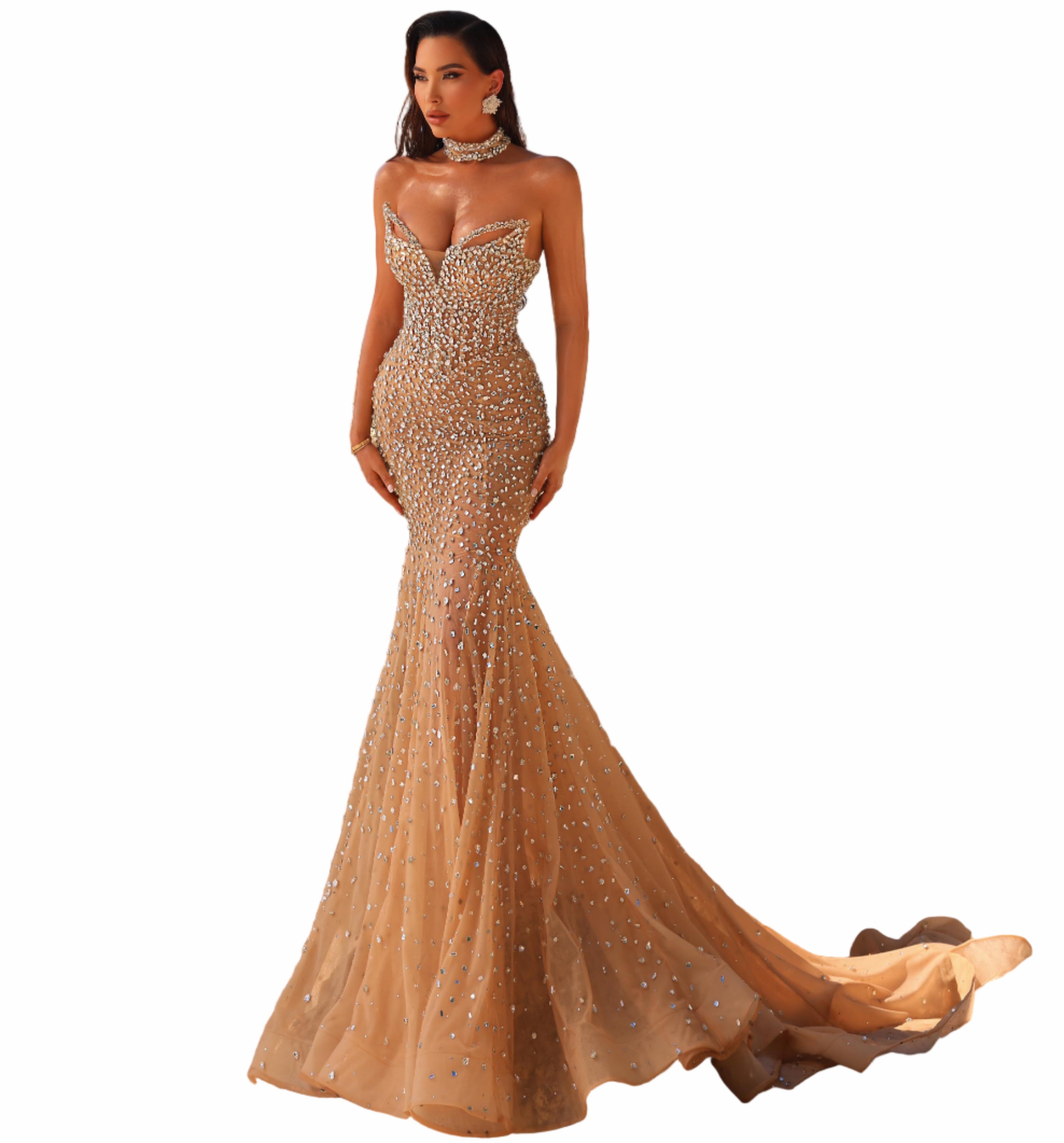 Woman in a sparkling evening gown 