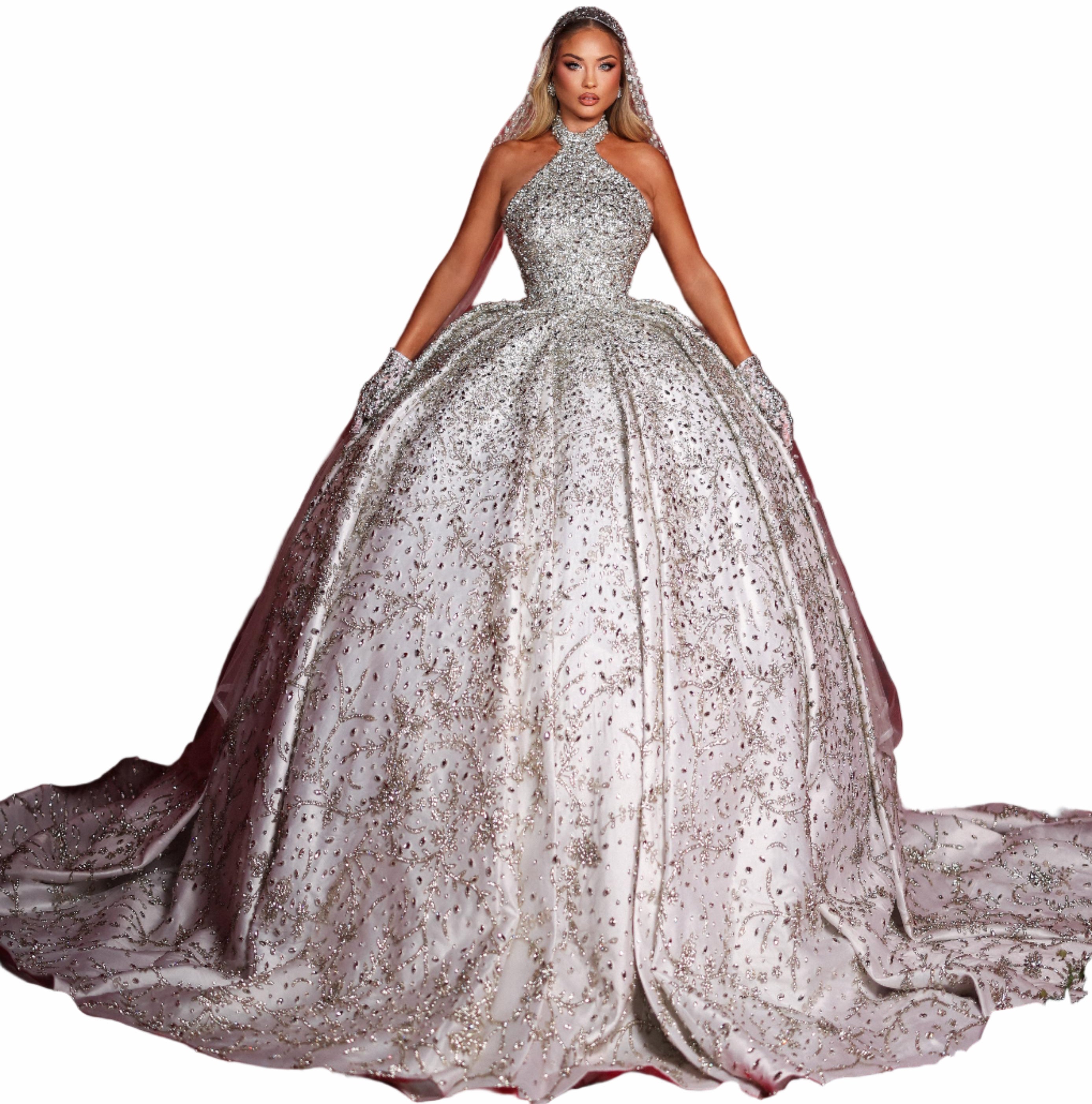 Woman in a sparkling silver ball gown 